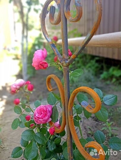 Опоры для растений