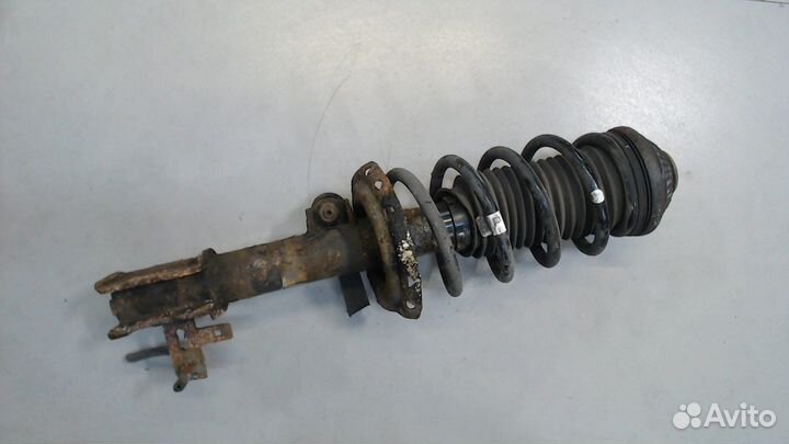 Амортизатор подвески Opel Zafira B, 2010