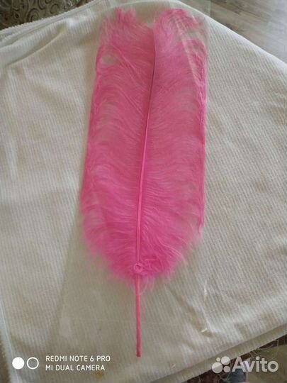 Перо страуса цвета разные