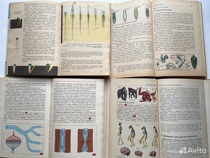 Учебники по биологии СССР комплект
