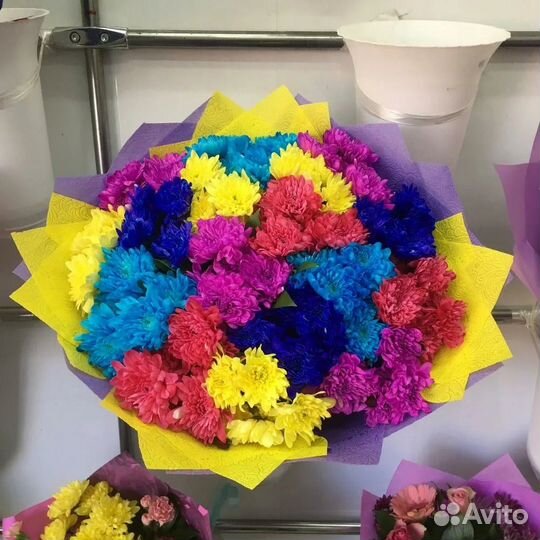 Хризантема