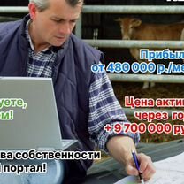Инвестиции в сельхоз бизнес Хабаровск, Хабаровск