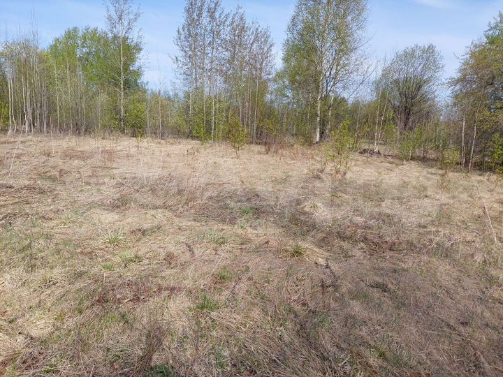 Участок 15 сот. (ИЖС)