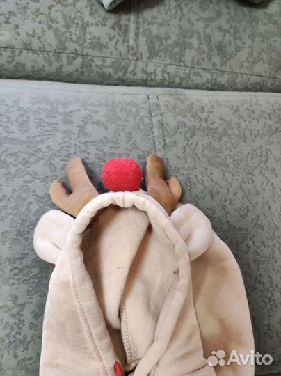 Толстовка для кошек и собак, размер M