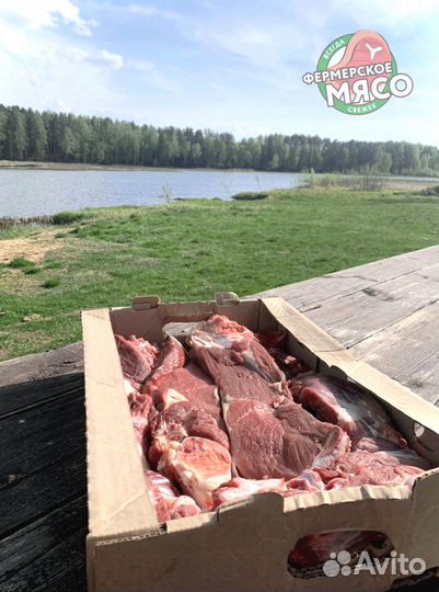 Мясо говядина