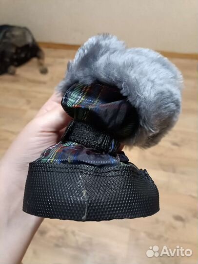 Обувь для собак