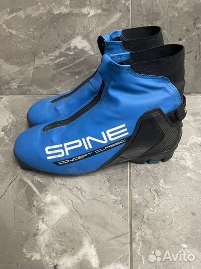 Лыжные ботинки spine concert classic 294 blue