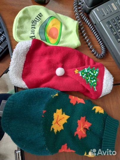 Одежда для собак и кошек