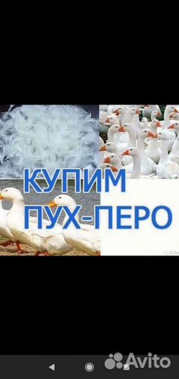 Перо перины подушки