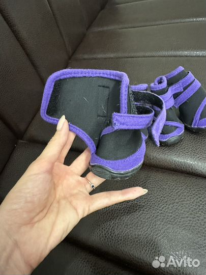 Ботинки для собак