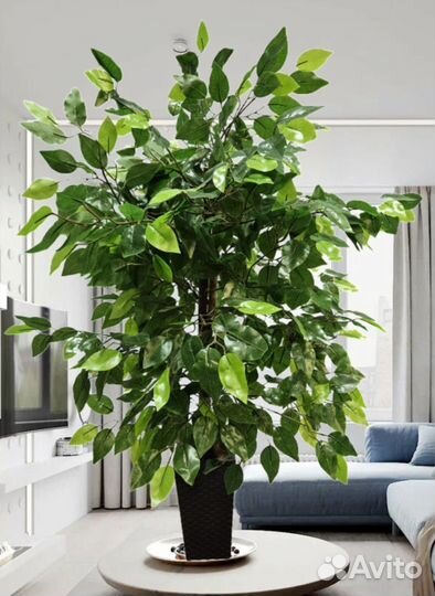 Искусственное дерево, искусственное растение