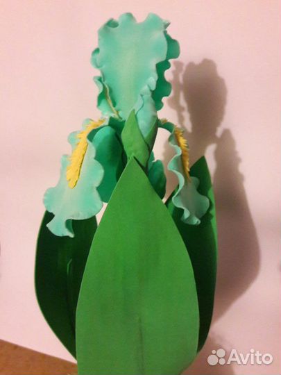 Ирис в горшке