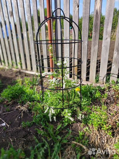 Опора для вьющихся растений