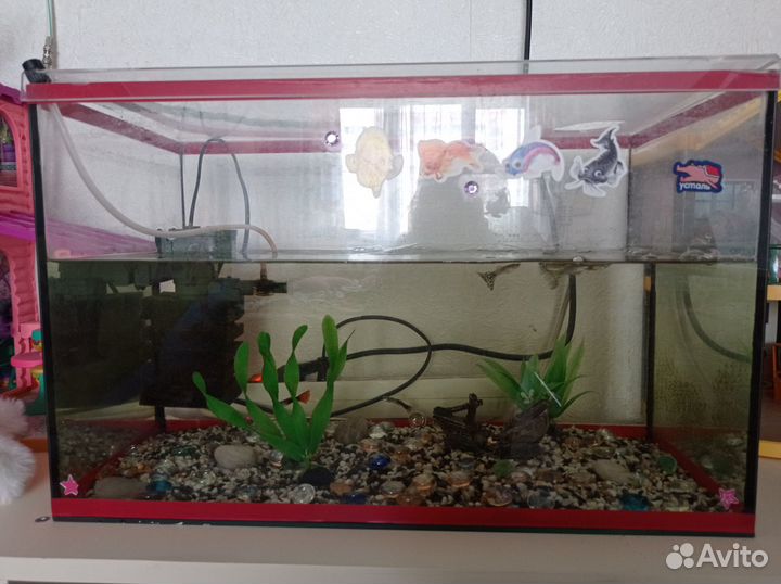 Аквариум