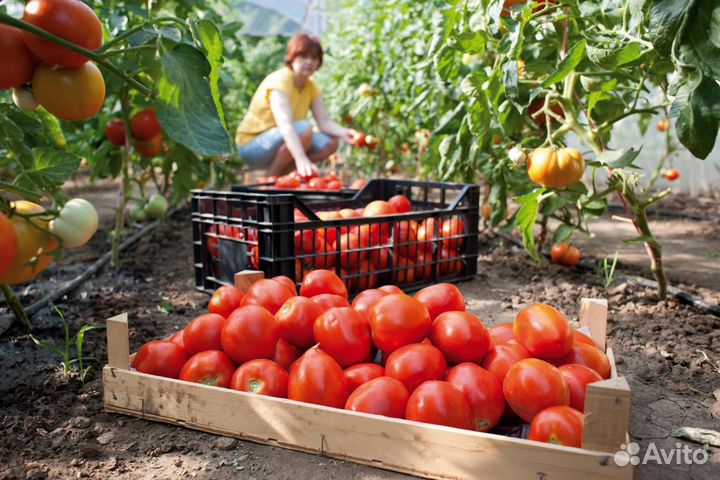Вахта Москва 15 30 45 60 90 120 смен Разнорабочий
