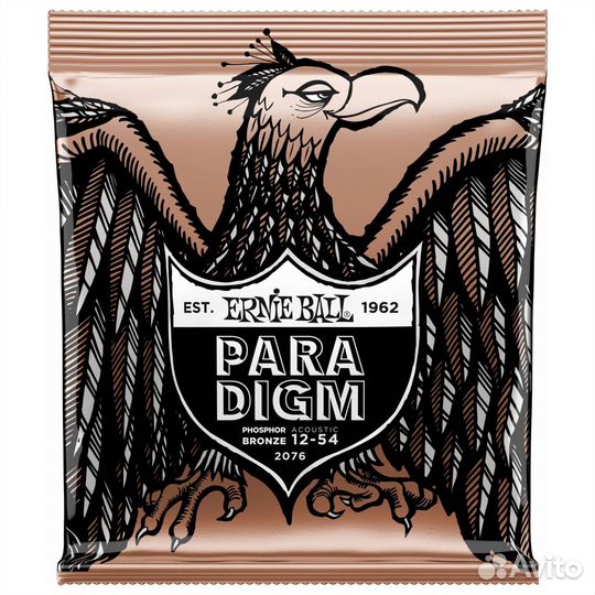 Ernie ball 2076 Paradigm Phosphor Bronze Medium L