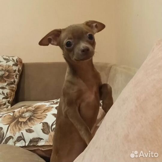 Сумка валяная на заказ