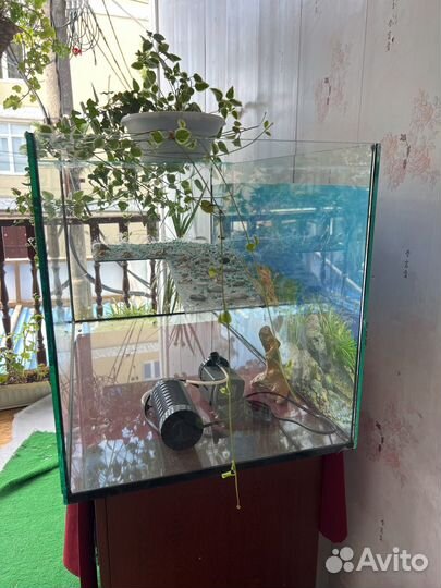 Продаю черепашник