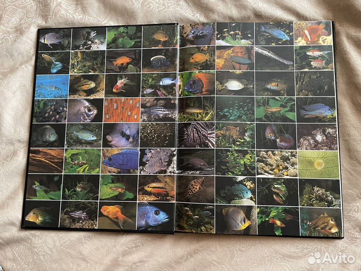 Книги по аквариумистики, Аквариум от А до Я