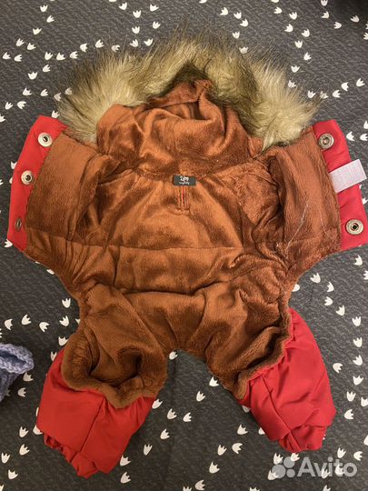 Одежда для маленьких собак