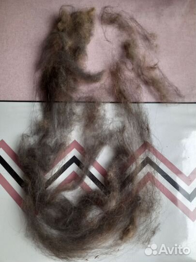 Собачья шерсть пух