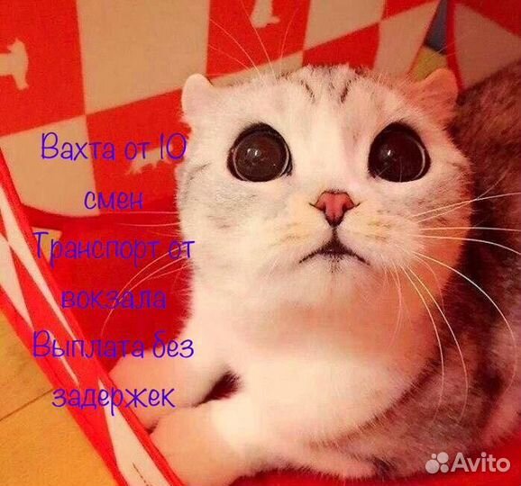 Самара Вахта (Пит+Прож)