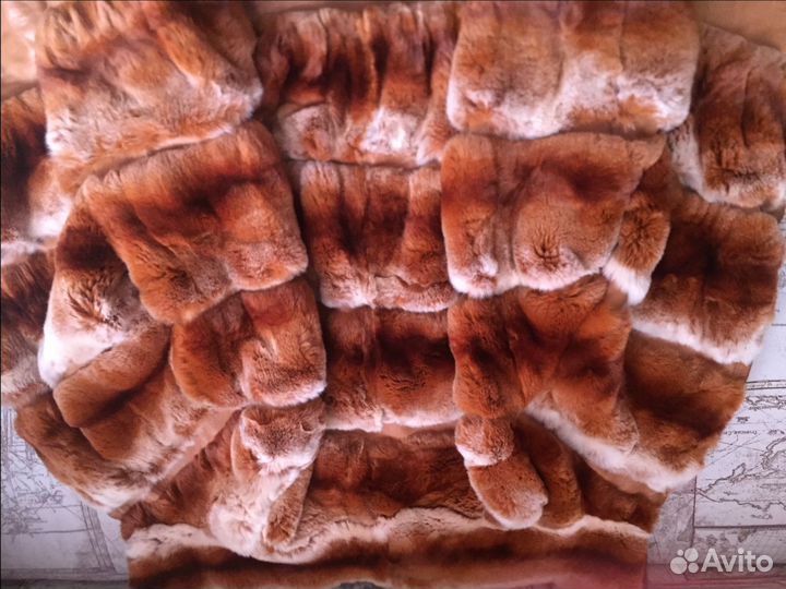 Автоледи шиншилла