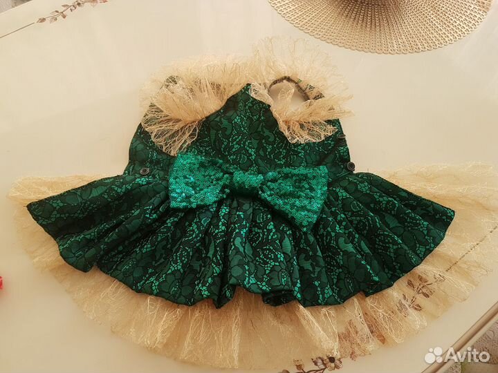 Одежда для собак мелких пород