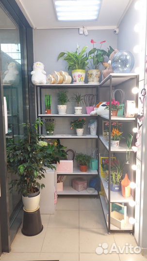 Продажа магазина цветов