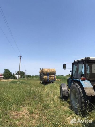 Сено в тюках