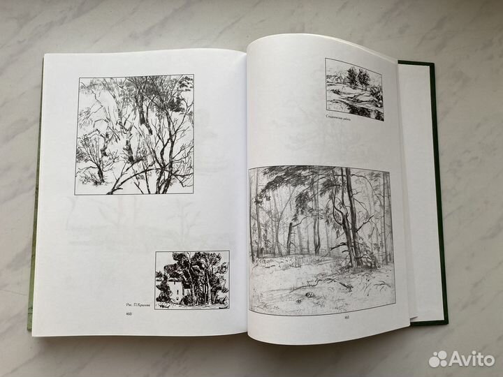 Основы учебного академического рисунка Николай Ли