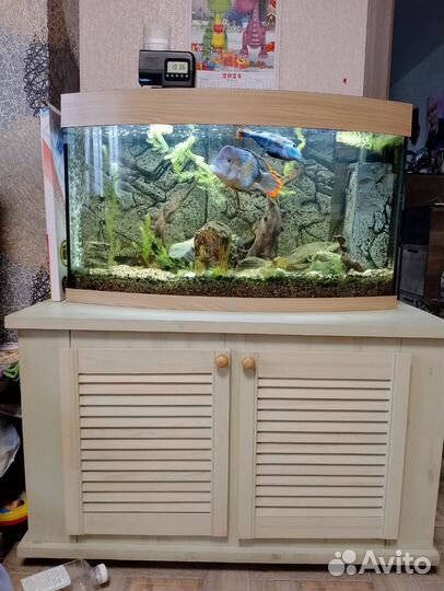 Аквариум