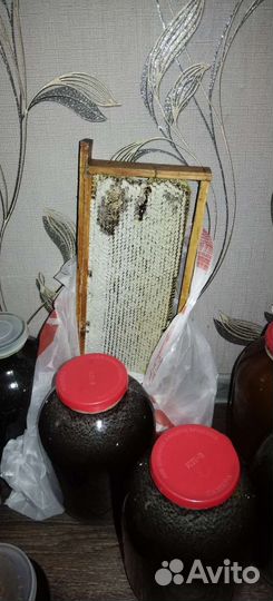 Мед гречишный 2023