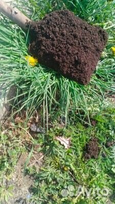 Перегной в мешках