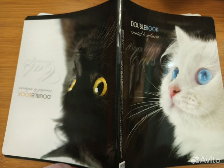 Тетради 48 листов 2 штуки