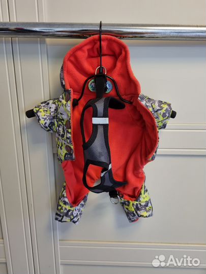 Курточка для чихуахуа и шлейка