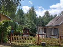 5 0 25 72. 5 0 25 72. кольца поршневые таврия 72. 5 0 25 72. цепь штиль 325 1.