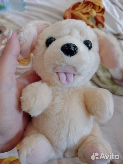 Мягкие игрушки (обмен)