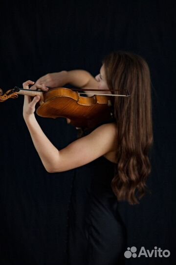 Скрипач на праздник