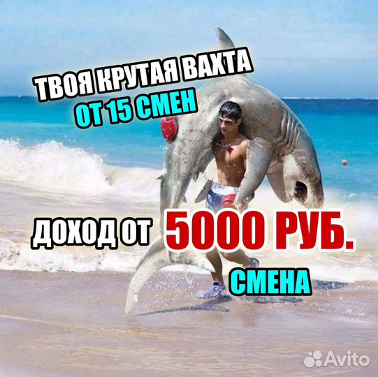 Сортировщик(ца) вахта 15 смен Москва/мо