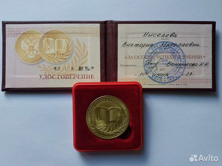 Напишу сочинение по литературе, русскому языку