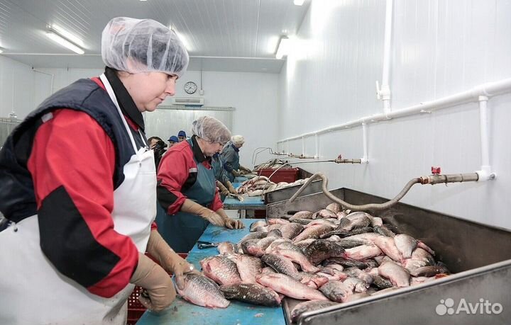 Требуются разнорабочие(вахта)