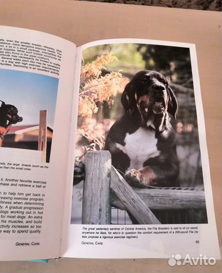 Атлас пород собак