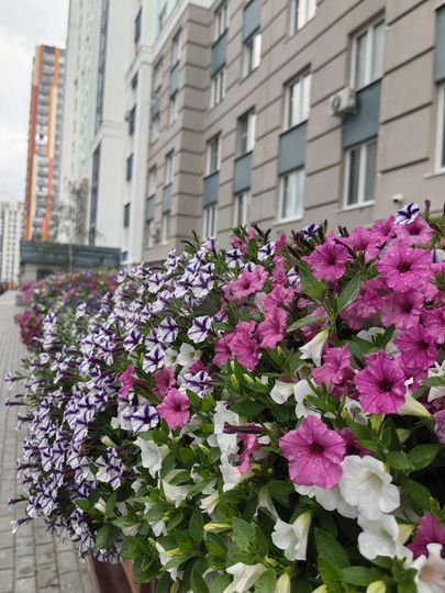 2-к. квартира, 72,5 м², 21/25 эт.