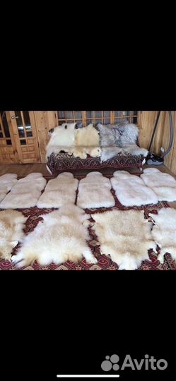 Шкуры овечьи козьи