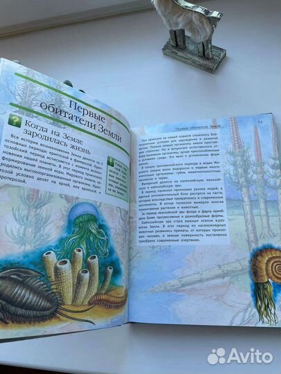 Энциклопедия для детей Аванта Что Когда Зачем