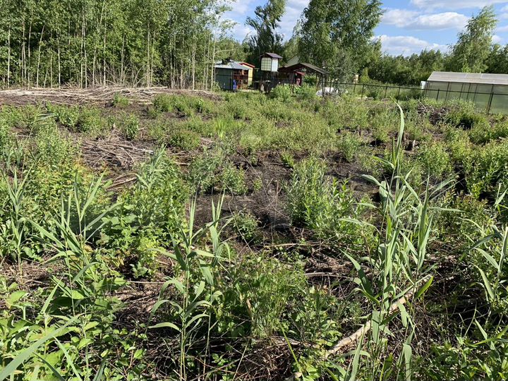 Участок 6 сот. (СНТ, ДНП)