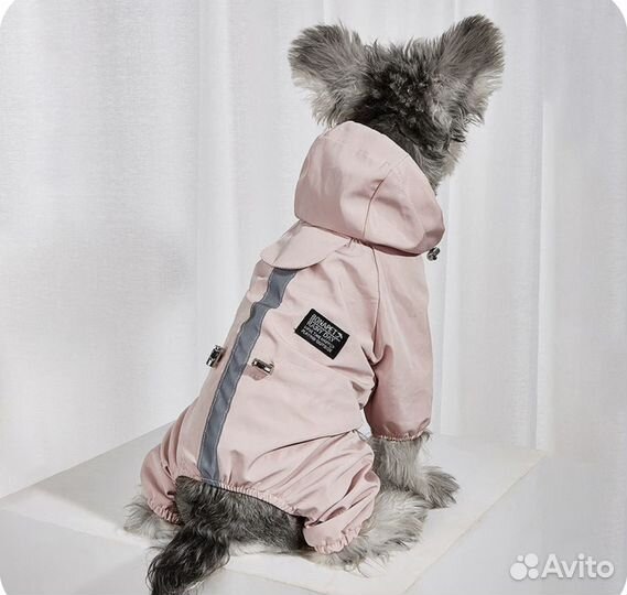 Дождевик для маленькой собаки