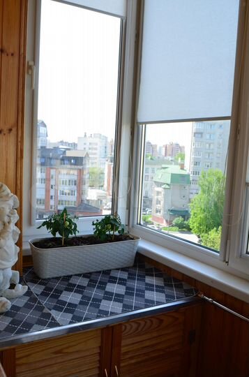 3-к. квартира, 113,6 м², 7/8 эт.