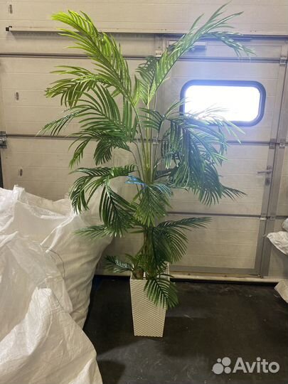 Искусственная пальма